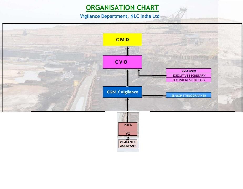 ORGANISATION Chart